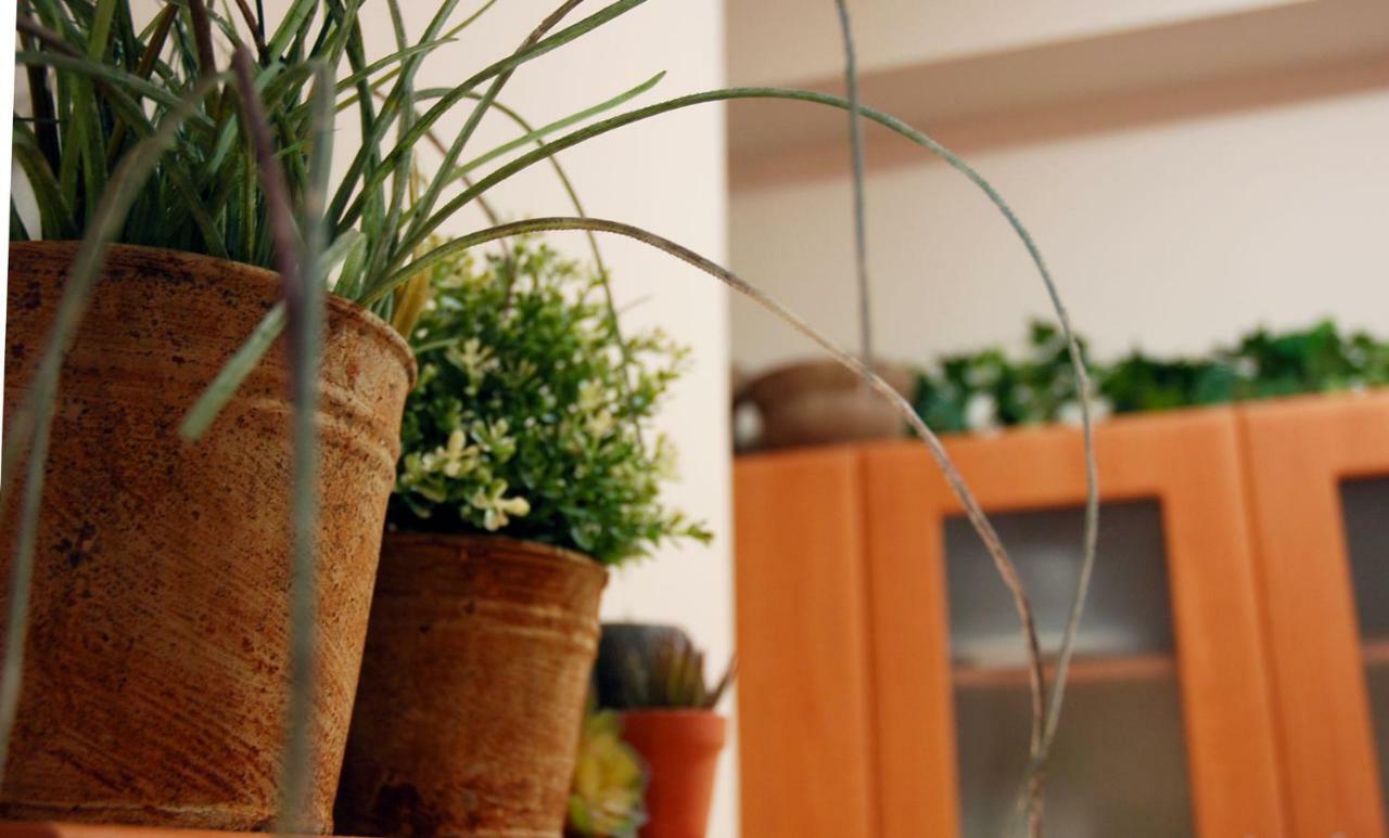Acropolis, Urban Lifestyle Apartment Athens Luaran gambar